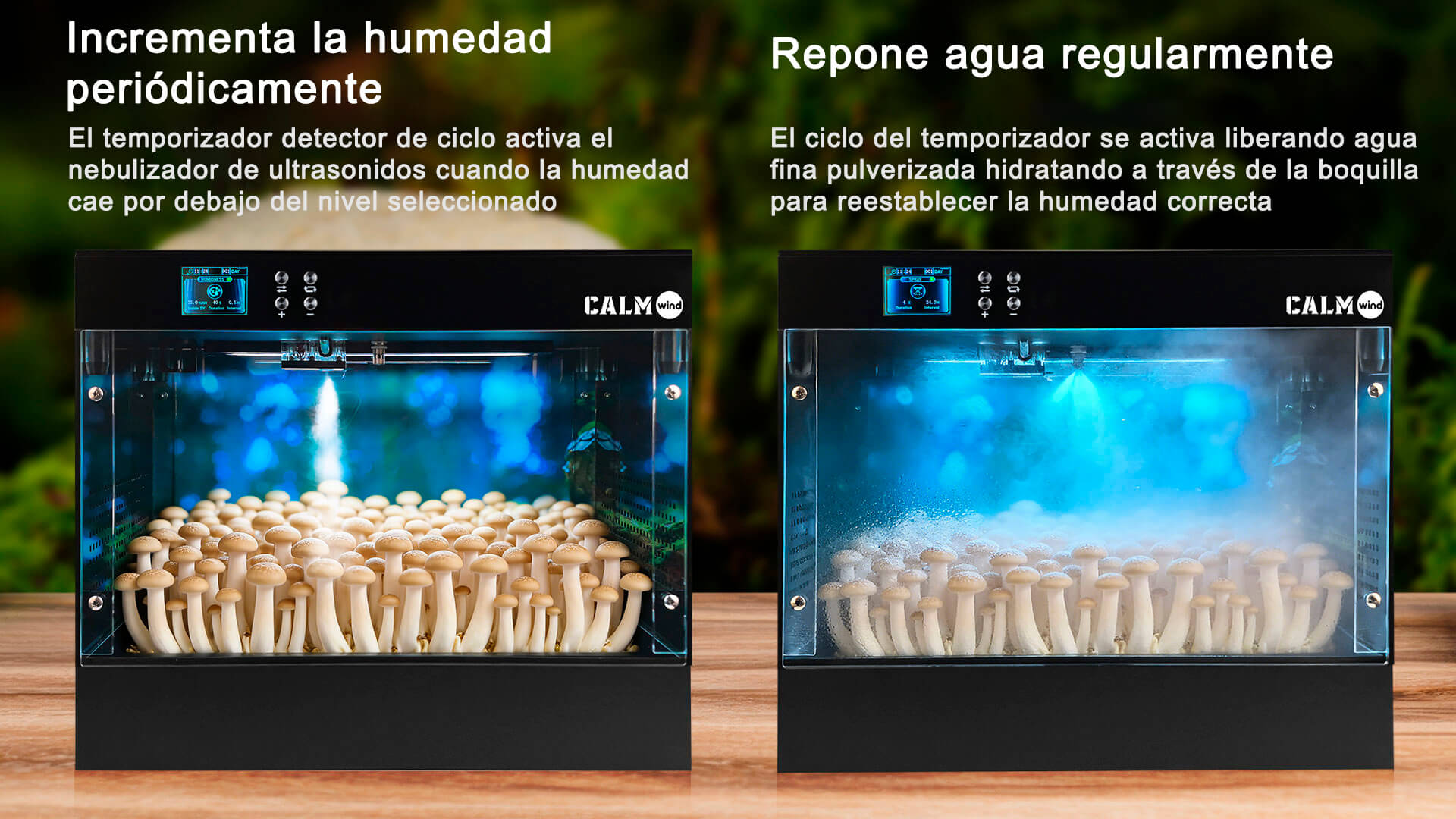 Humidificación y riego de Smart Grow Box LTQ